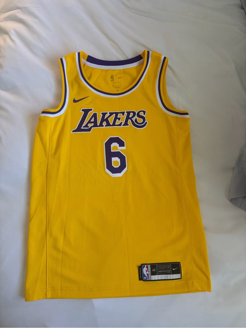 DRI-FIT Nike Lebron Los Angeles Lakers Jersey (BRAND NEW NO TAGS)